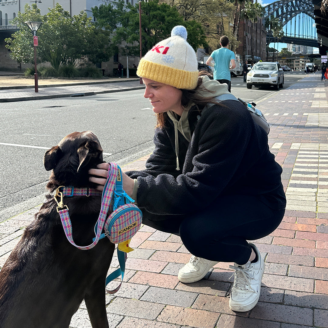 Gentle Leash Bolt_Edinburgh Check