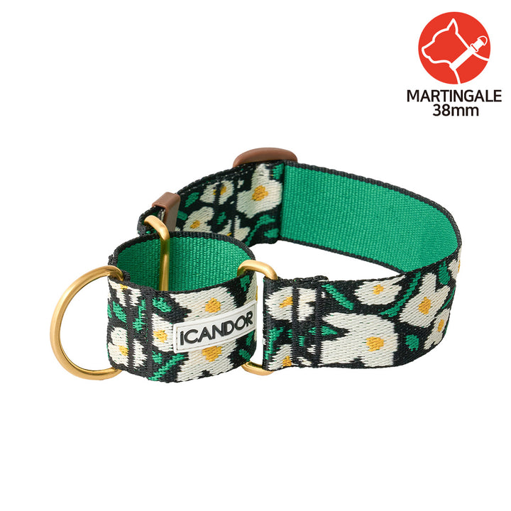 Smooth Martingale Collar 38mm_Big Fish