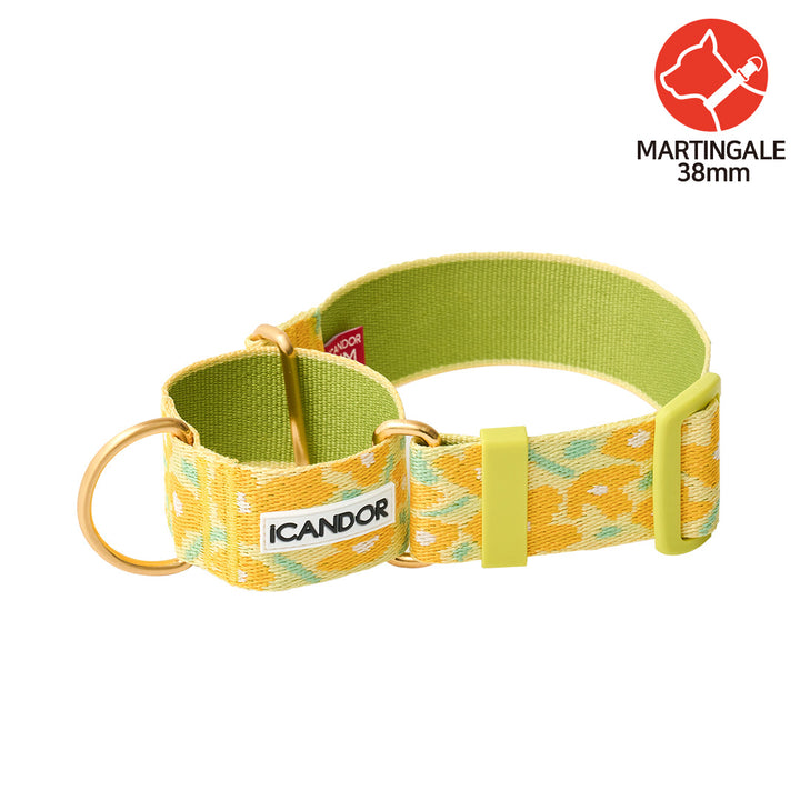 Smooth Martingale Collar 38mm_Big Fish Yellow