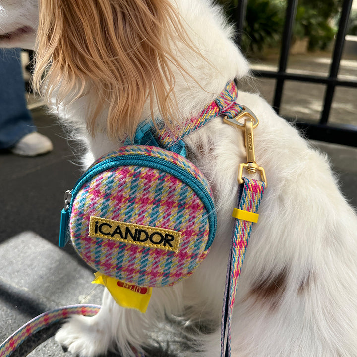 No-Pull Harness_Edinburgh Check