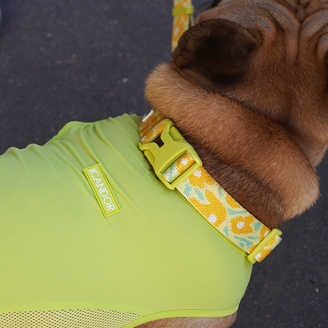 Ocean Cooling Vest_Minty Lime