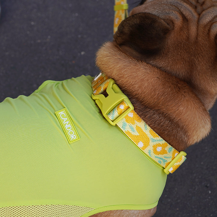 Ocean Cooling Vest_Minty Lime