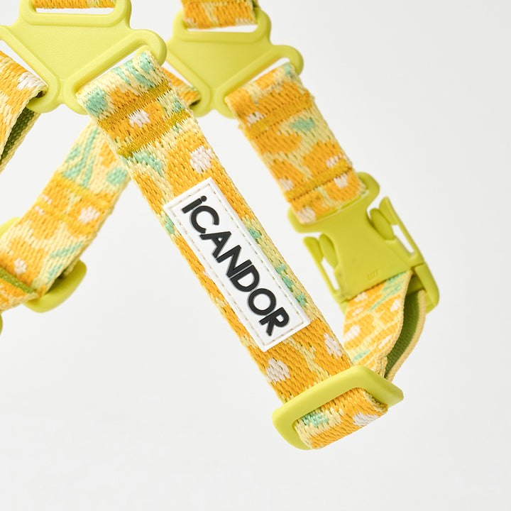 No-Pull Harness_Big Fish Yellow