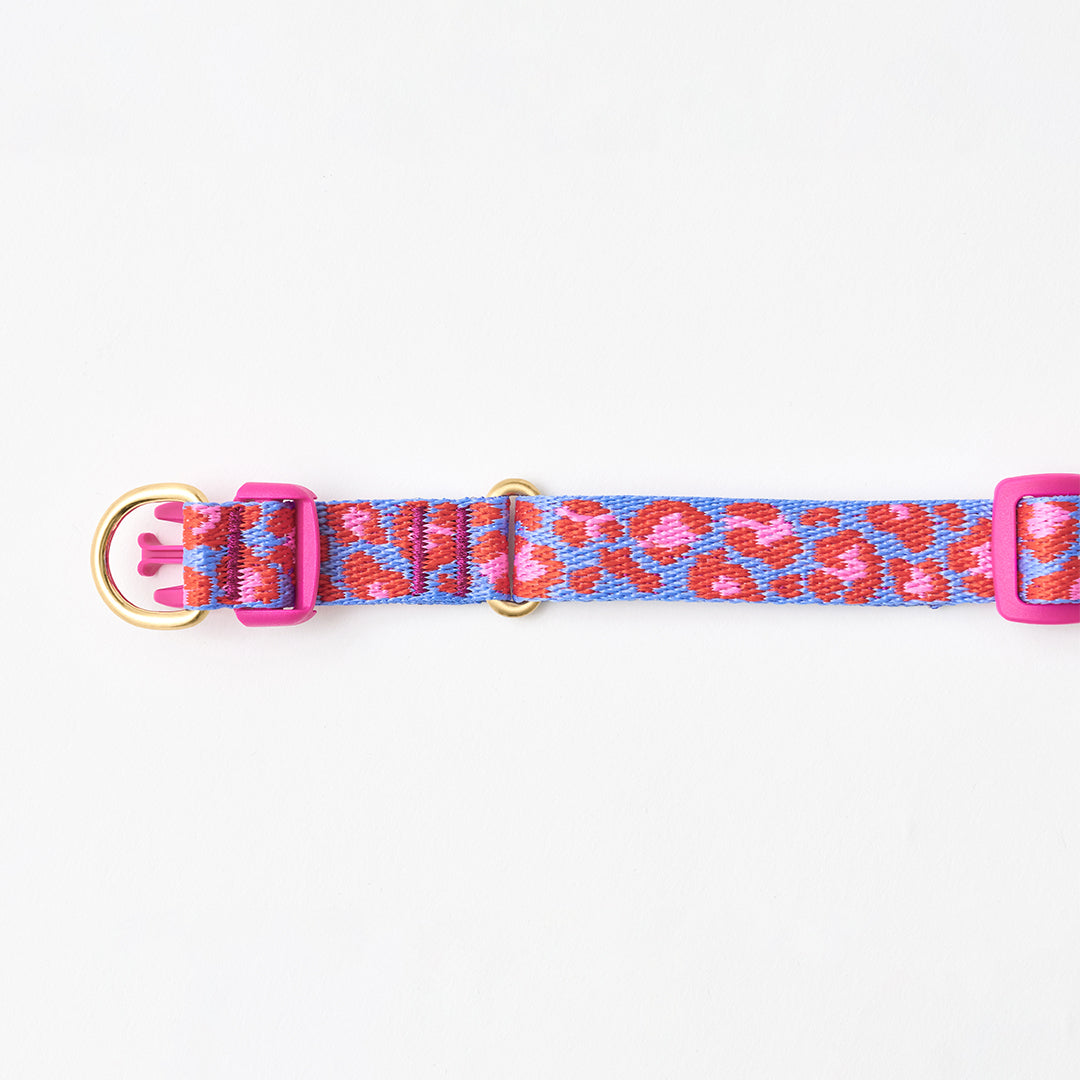 Gentle Collar Dual_Leopard Lavender Blue