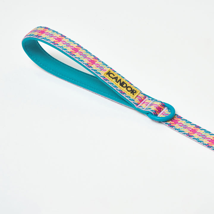 Gentle Leash_Edinburgh Check