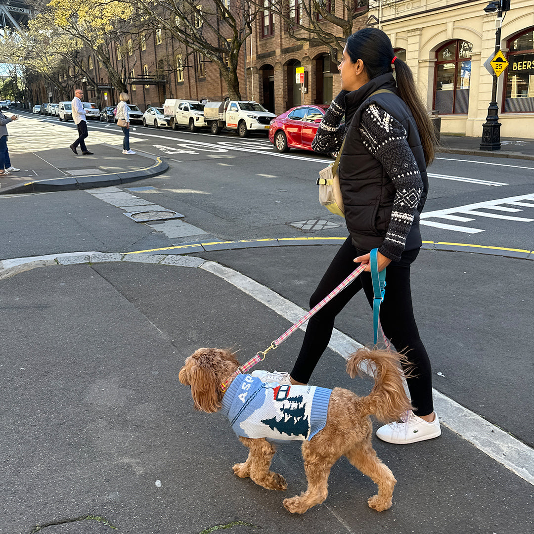 Martingale Collar, Buckle_Edinburgh Check