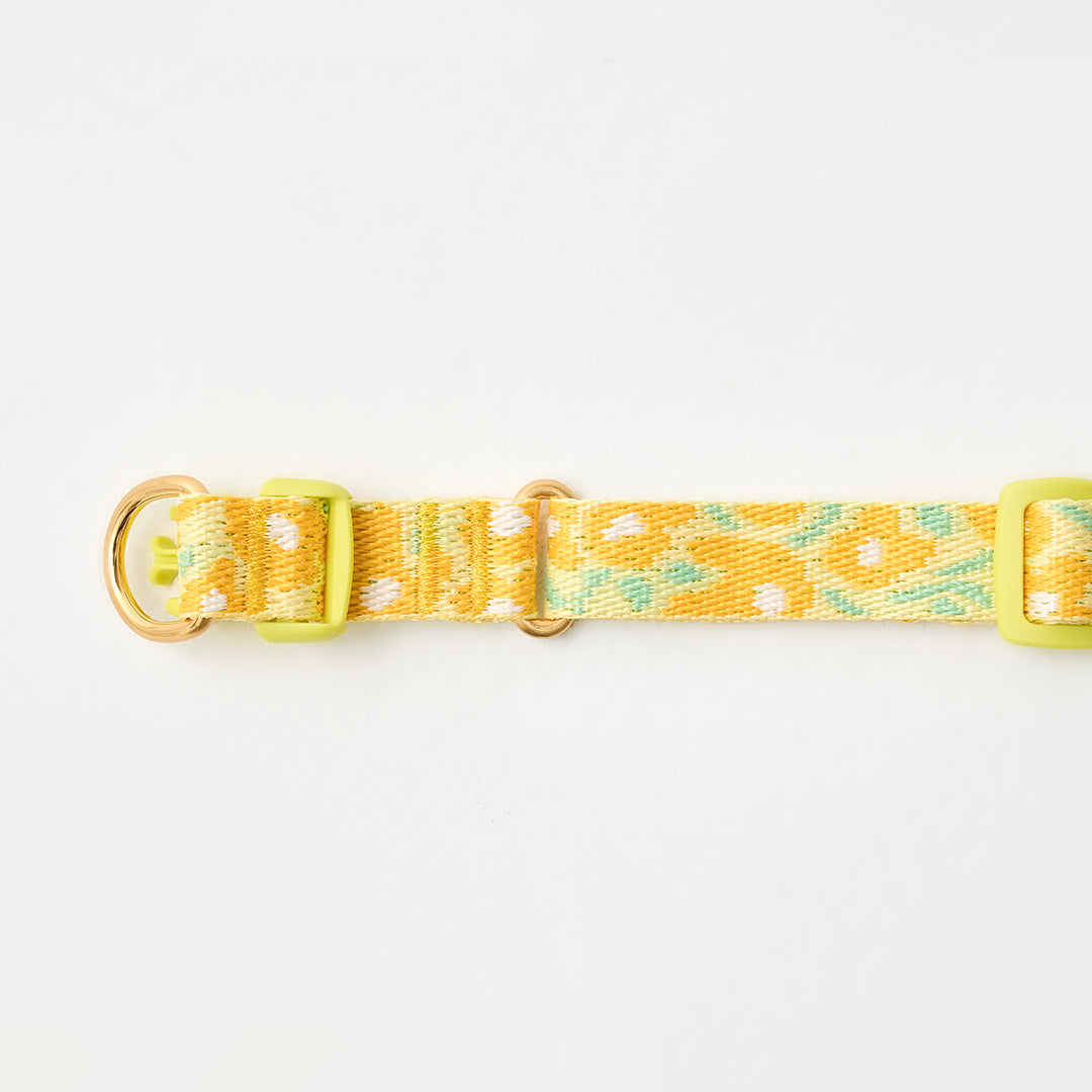 Gentle Collar Dual_Big Fish Yellow