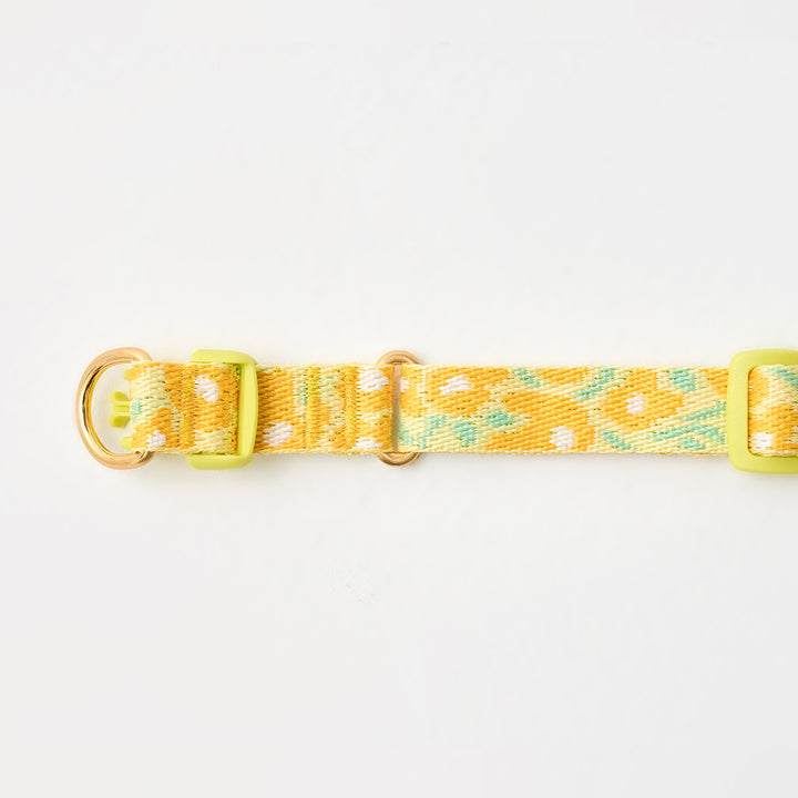Gentle Collar Dual_Big Fish Yellow