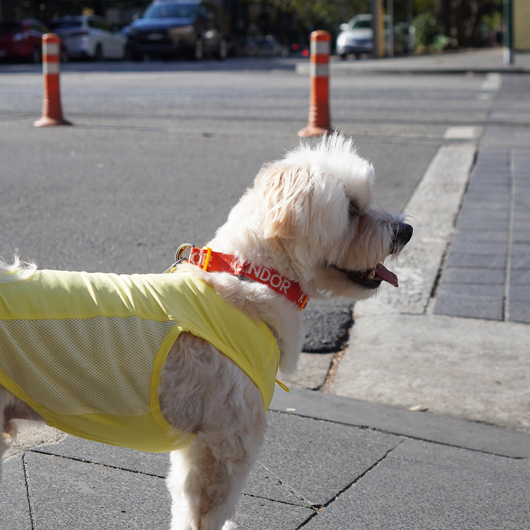Ocean Cooling Vest_Lemon Sherbet