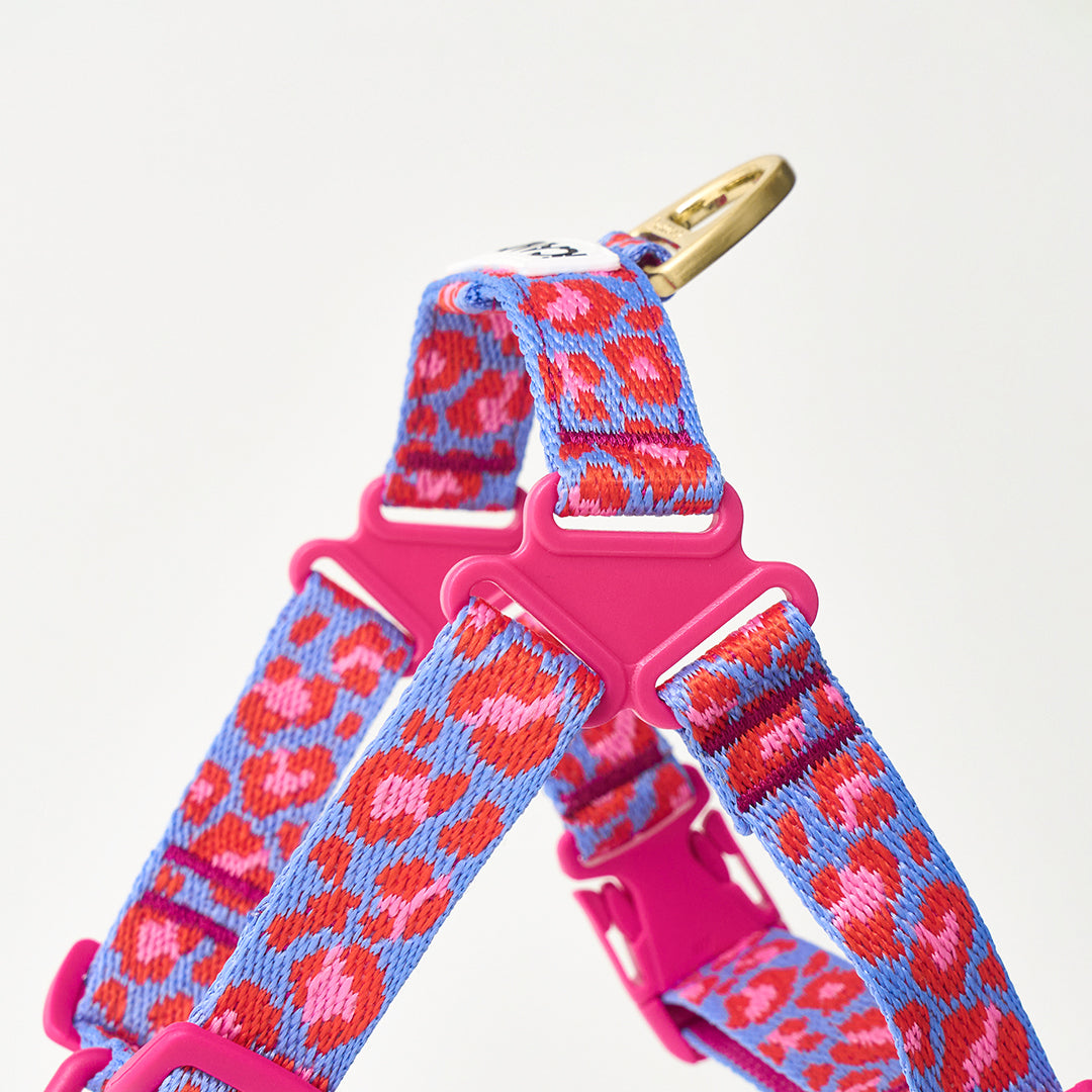 No-Pull Harness_Leopard Lavender Blue