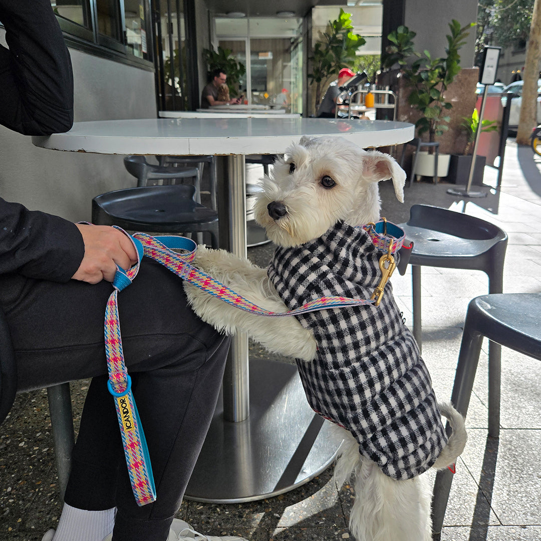 サーモ3、エディンバラチェック_ブラック＆ホワイト