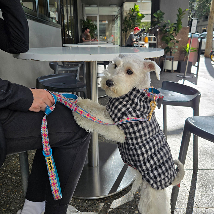 サーモ3、エディンバラチェック_ブラック＆ホワイト