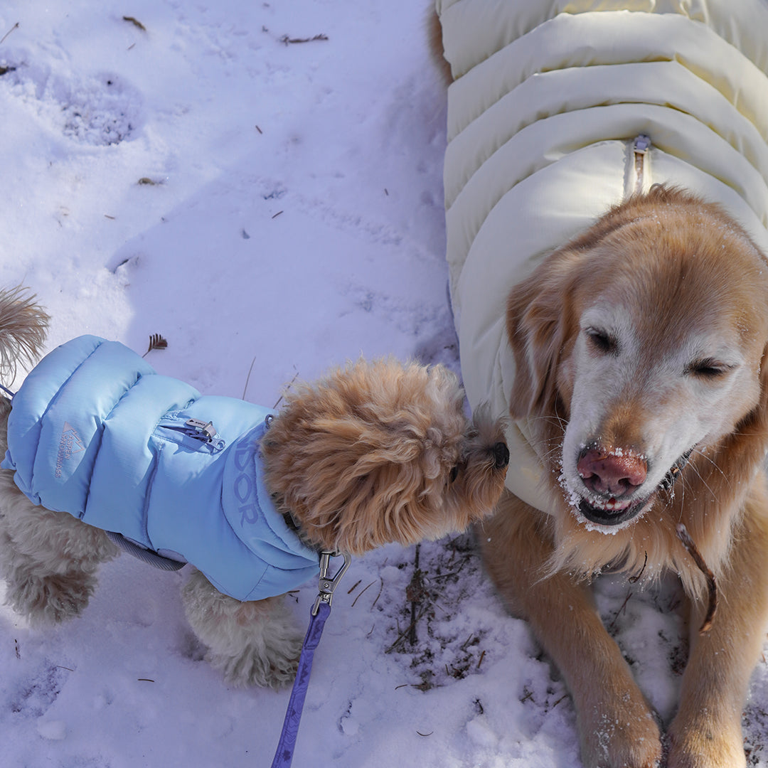 サーモ3 アドベンチャーパーカー_ジェントルブルー
