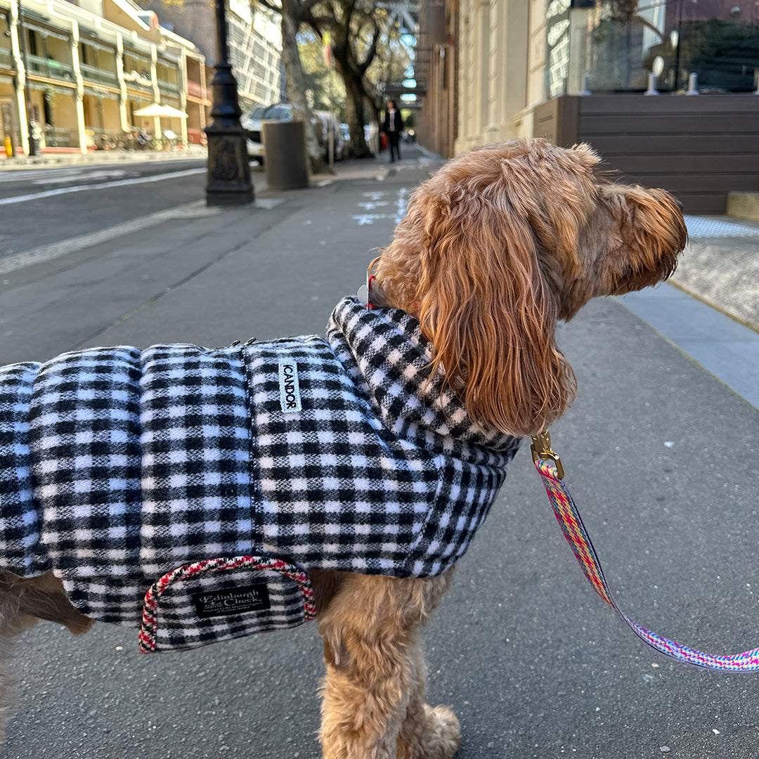 サーモ3、エディンバラチェック_ブラック＆ホワイト