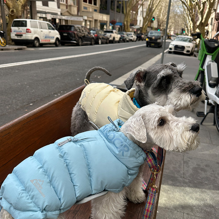 サーモ3 アドベンチャーパーカー_ジェントルブルー