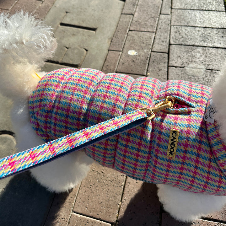 サーモ3、エディンバラチェック_キャンディタータン