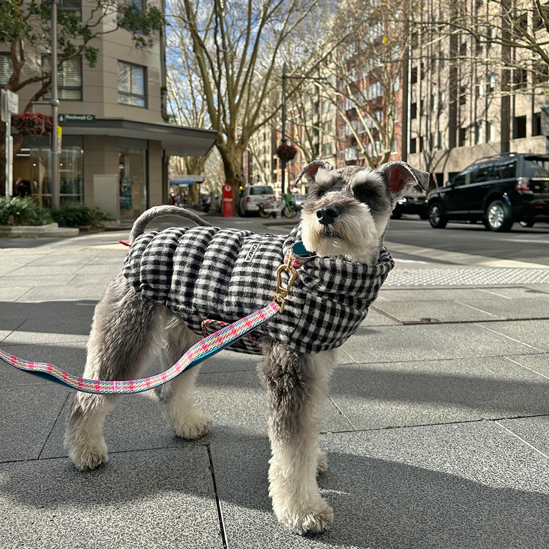 サーモ3、エディンバラチェック_ブラック＆ホワイト