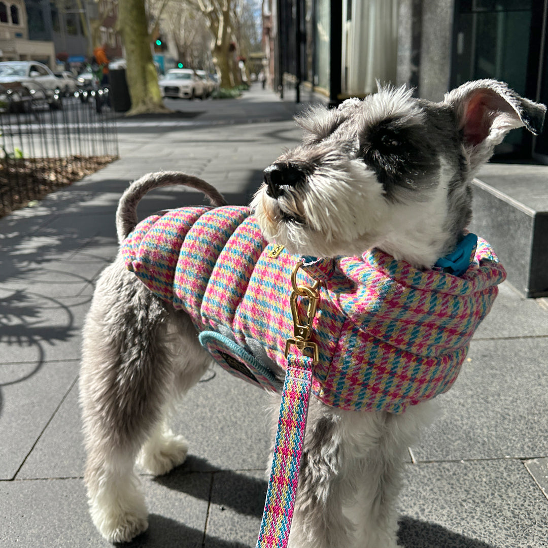 サーモ3、エディンバラチェック_キャンディタータン