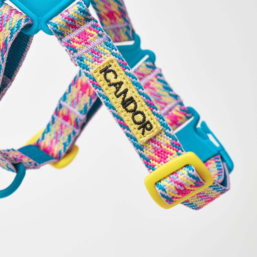 No-Pull Harness_Edinburgh Check