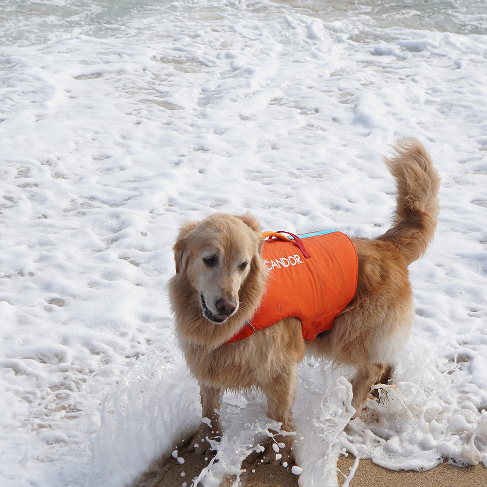 Pawsaver Life Jacket_Red Orange