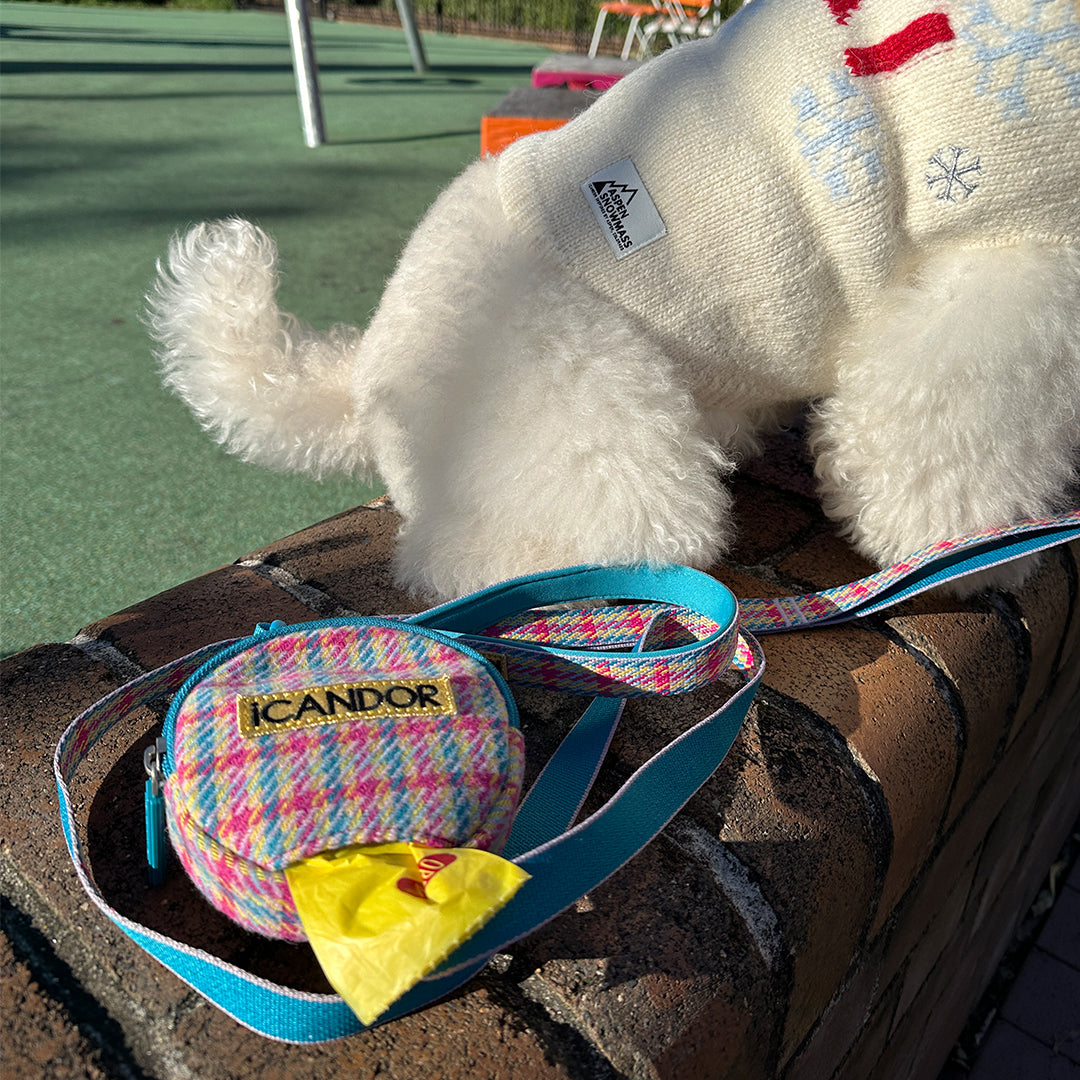 Dingle Dangle Bag_Edinburgh Check