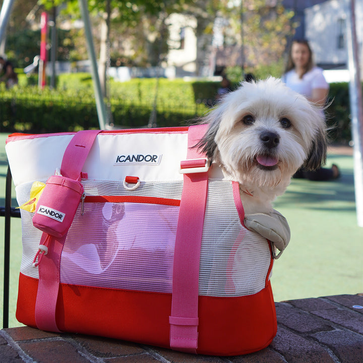 Brisbane Bag_Flamingo Pink