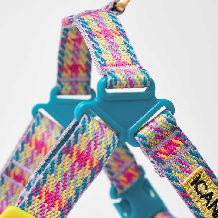 No-Pull Harness_Edinburgh Check