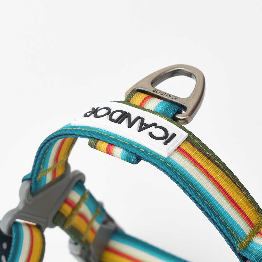 No-Pull Harness_Ripple