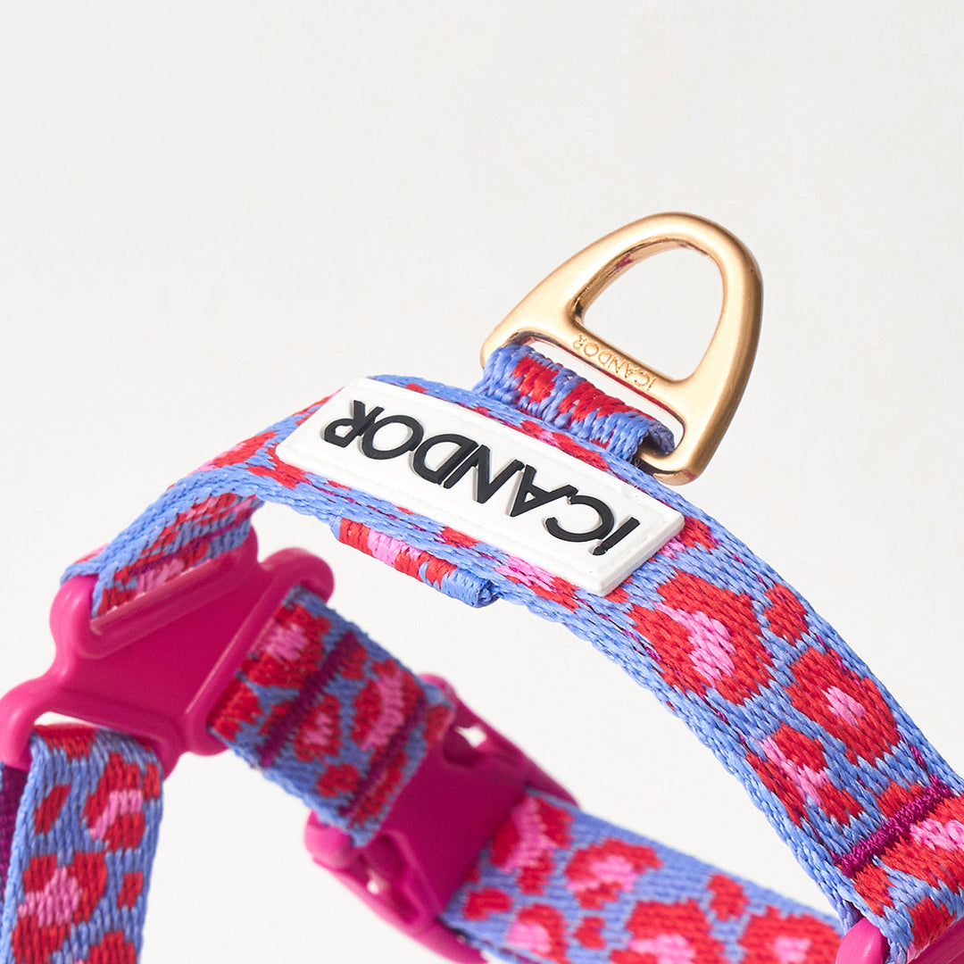No-Pull Harness_Leopard Lavender Blue