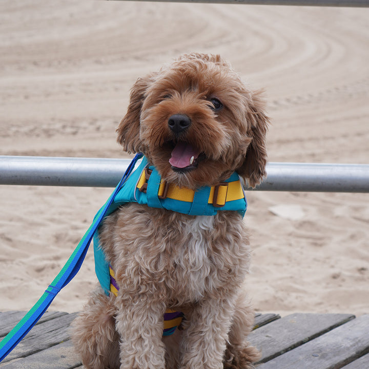 Pawsaver Life Jacket_Turquoise Blue