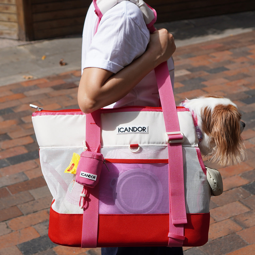 Brisbane Bag_Flamingo Pink