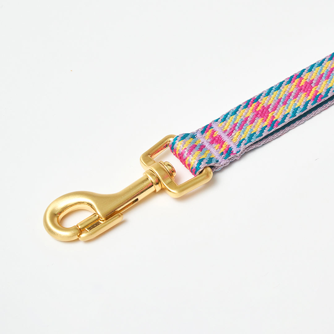 Gentle Leash_Edinburgh Check