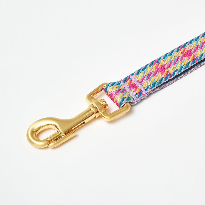 Gentle Leash_Edinburgh Check