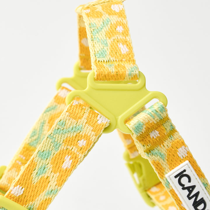 No-Pull Harness_Big Fish Yellow