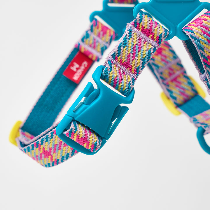 No-Pull Harness_Edinburgh Check