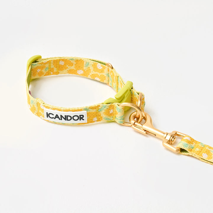 Gentle Collar Dual_Big Fish Yellow