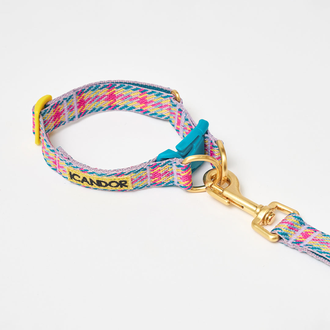 Gentle Collar Dual_Edinburgh Check