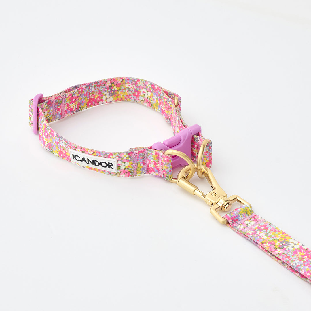 Gentle Collar Dual_Flora