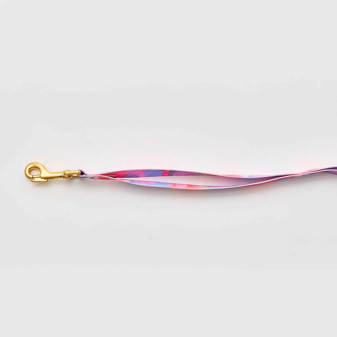 Gentle Leash_Milky Way