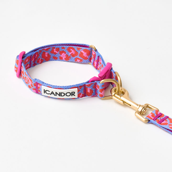 Gentle Collar Dual_Leopard Lavender Blue