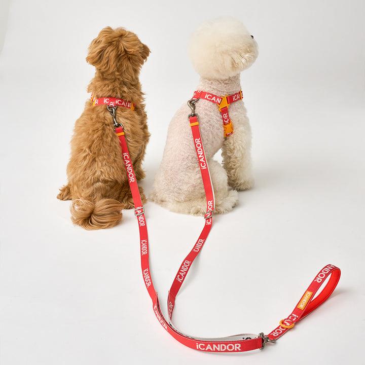 Gentle Leash Dual_Signature