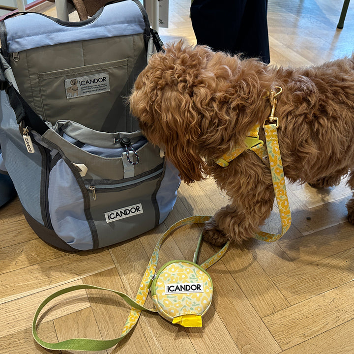 Dingle Dangle Bag_Big Fish Yellow