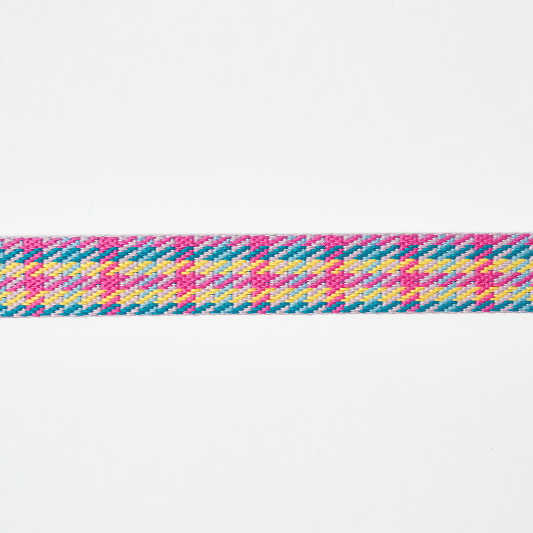 No-Pull Harness_Edinburgh Check