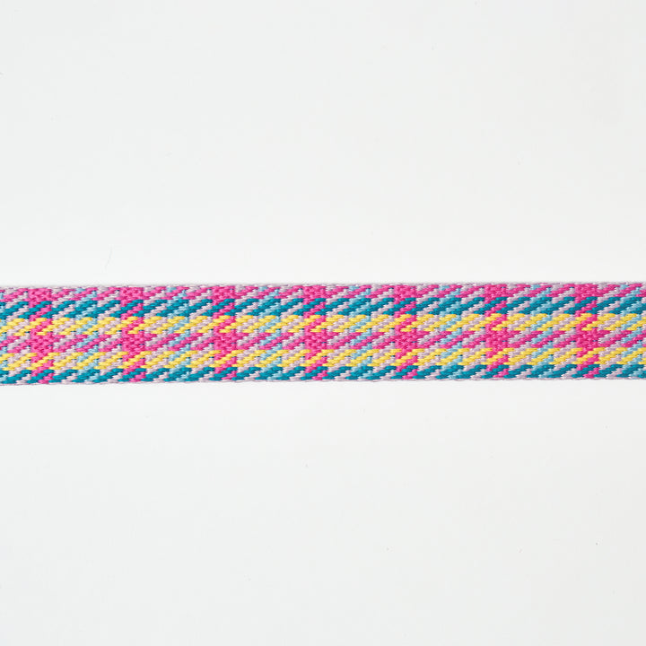 No-Pull Harness_Edinburgh Check