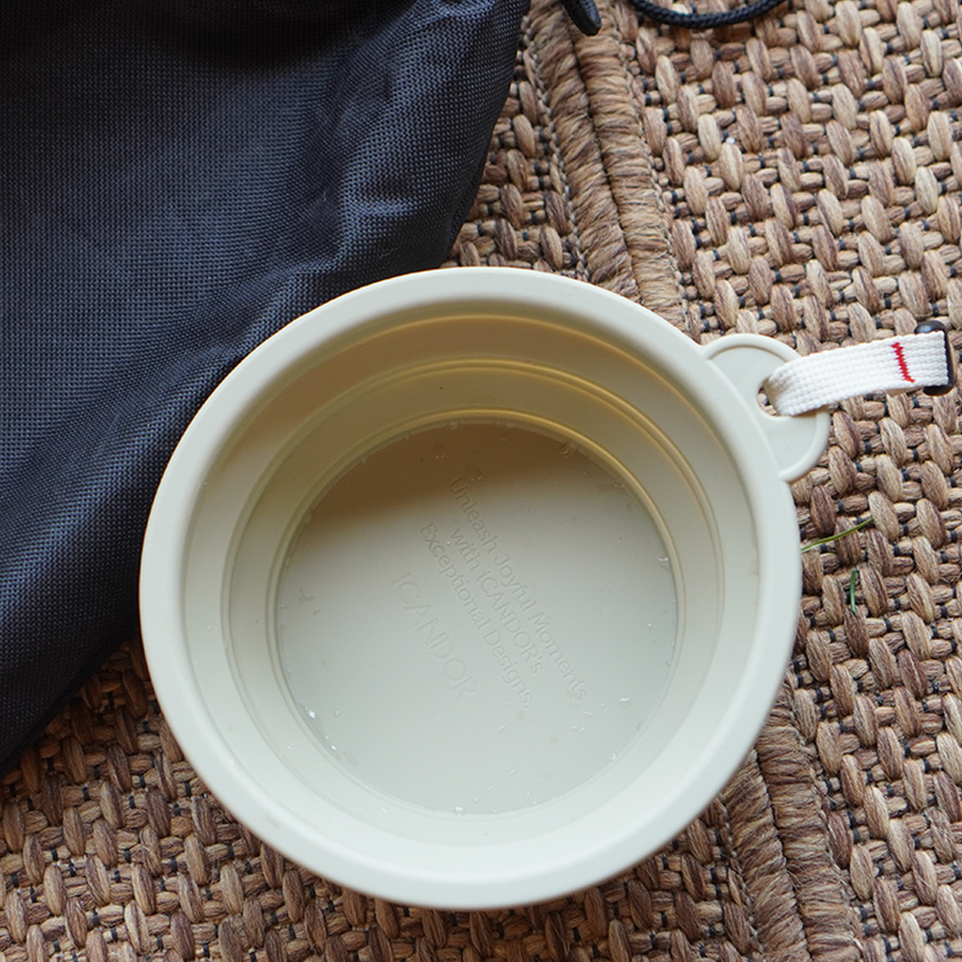 Travel Bowl