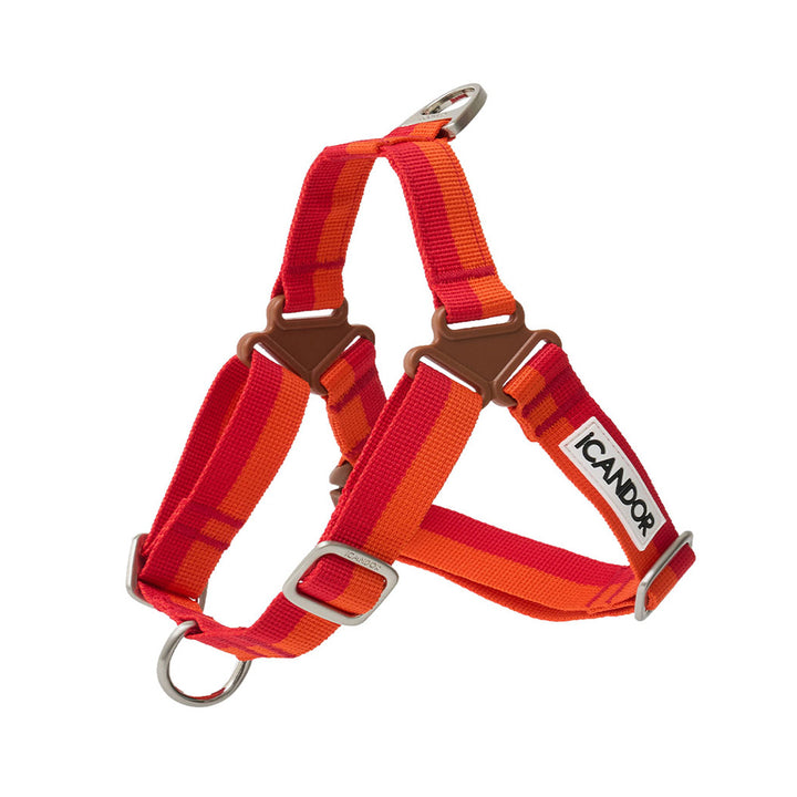 No-Pull Harness_Sunset