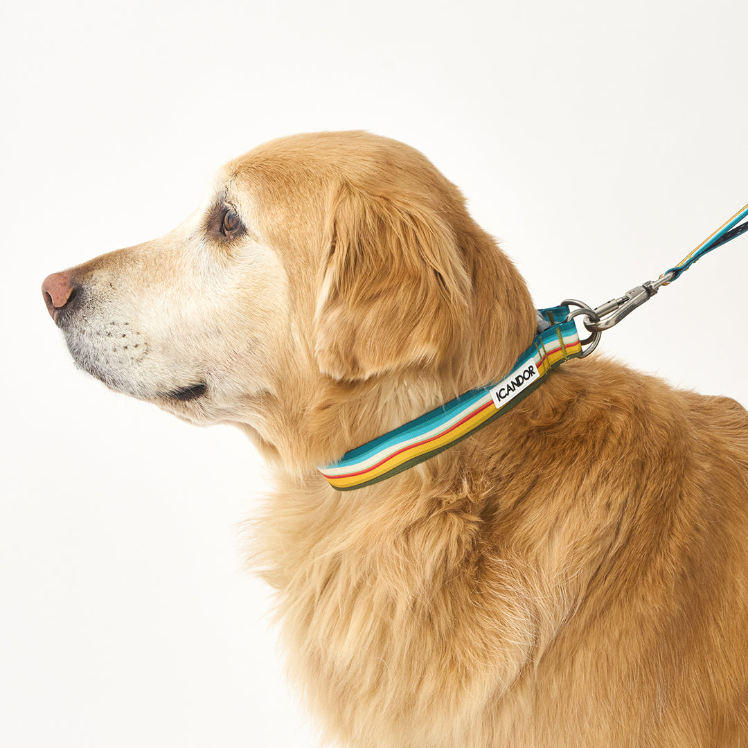 Gentle Collar Dual_Ripple