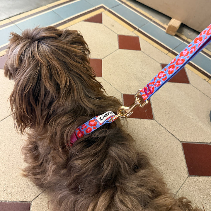 Gentle Leash_Leopard Lavender Blue