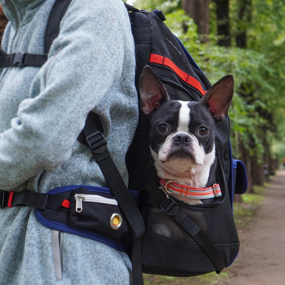 boston terrier mini backpack JIGE Bag_Dynamic Black – iCANDOR