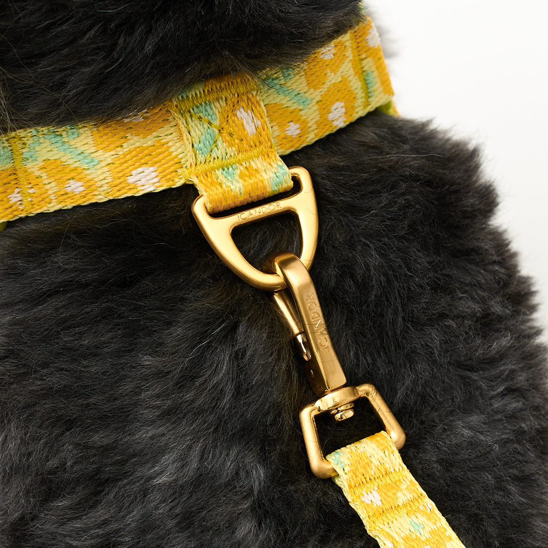 No-Pull Harness_Big Fish Yellow